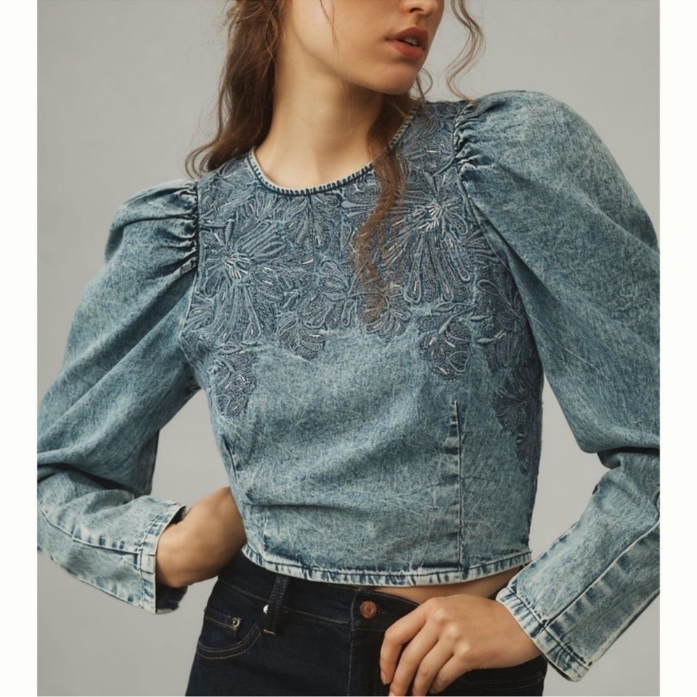 Pilcro Blue Embroidered Puff-Sleeve Denim Crop Top